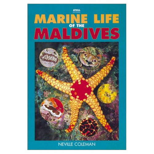 MARINE LIFE OF THE MALDIVES