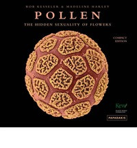 POLLEN