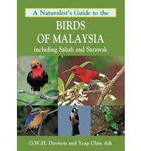BIRDS OF MALAYSIA