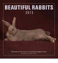 BEAUTIFUL RABBITS 2013