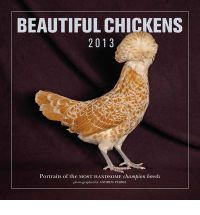 BEAUTIFUL CHICKENS 2013