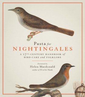 PASTA FOR NIGHTINGALES