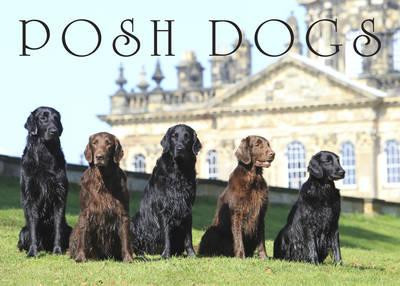 POSH DOGS
