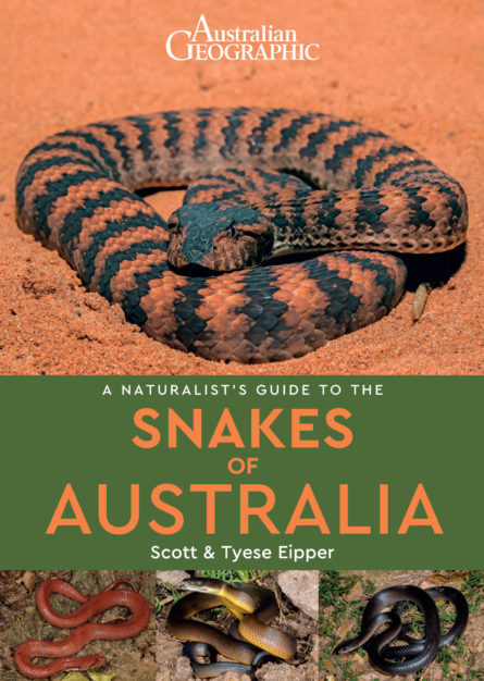 SNAKES OF AUSTRALIA