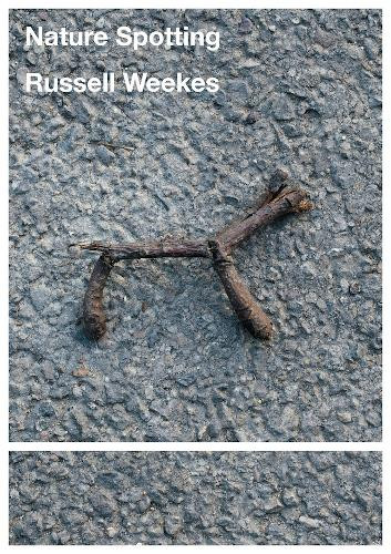 NATURE SPOTTING BY RUSSELL WEEKES