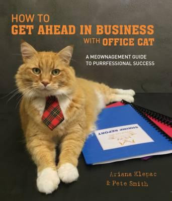 HOW TO GET AHEAD IN BUSINESS WITH OFFICE CAT