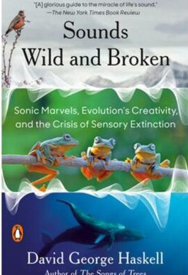 SOUNDS WILD AND BROKENBROKEN TO BOOKSHELF ADD TO BOOKSHELF LOOK INSIDE  SOUNDS WILD AND BROKEN