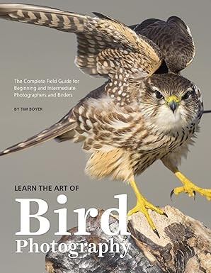 LEARN THE ART OF BIRD PHOTOGRAPHY