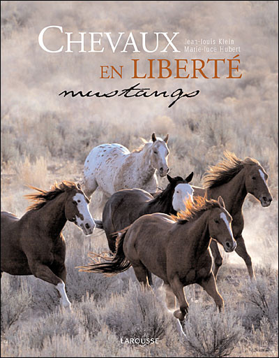 CHEVEAUX EN LIBERTE . MUSTANGS