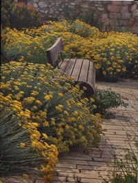 LE JARDIN DES MIGRATIONS