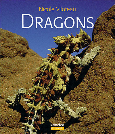 DRAGONS