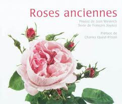 ROSES ANCIENNES