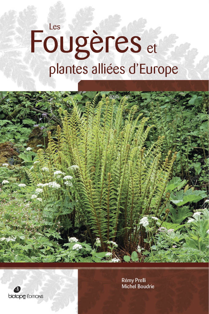 FOUGERES ET PLANTES ALLIEES D EUROPE