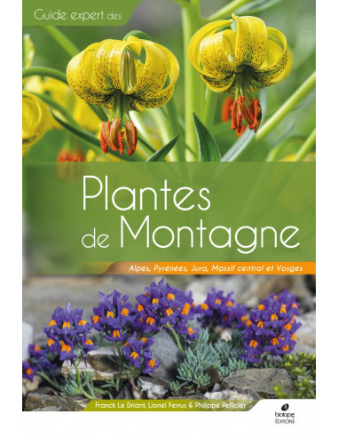 PLANTES DE MONTAGNE