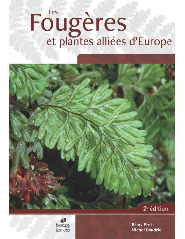 LES FOUGÈRES ET PLANTES ALLIÉES D'EUROPE