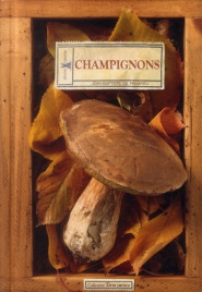 CHAMPIGNONS