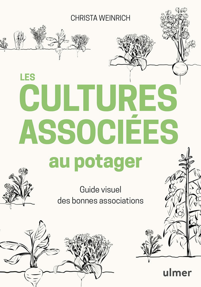 LES CULTURES ASSOCIEES AU POTAGER