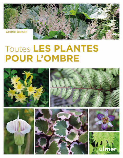 TOUTES LES PLANTES POUR L OMBRE