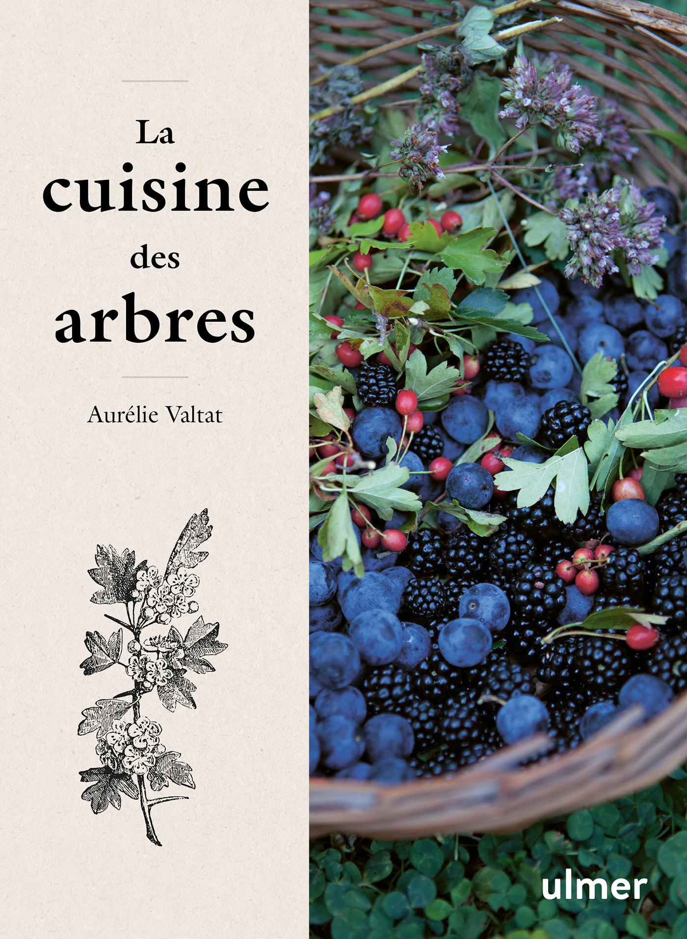 LA CUISINE DES ARBRES