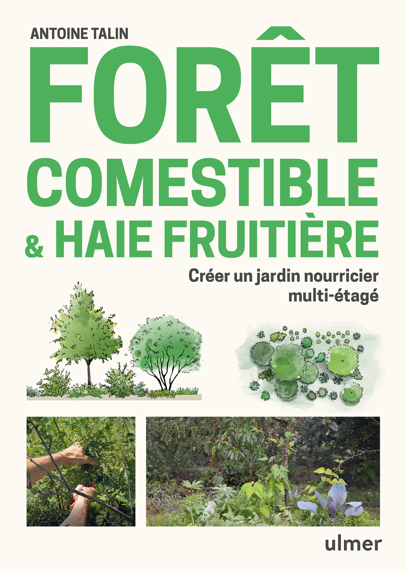 FORET COMESTIBLE & HAIE FRUITIERE