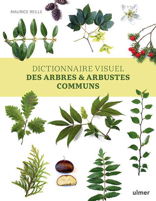 DICTIONNAIRE VISUEL DES ARBRES & ARBUSTES COMMUNS