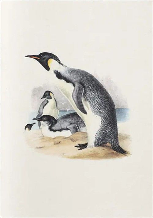 NOTEBOOK EREBUS AND TERROR IN ANTARTICA
