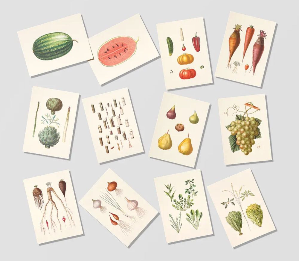 VEGETABLE GARDEN AND FRUIT GARDEN POSTCARDS