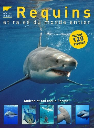 REQUINS ET RAIES DU MONDE ENTIER
