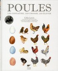 POULES