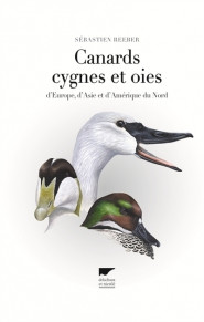 CANARDS CYGNES ET OIES