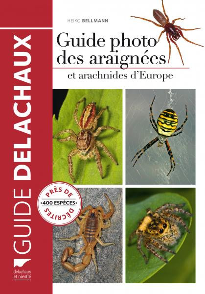 GUIDE PHOTO DES ARAIGNEES ET ARACHNIDES D EUROPE