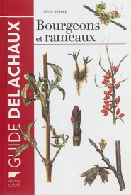 BOURGEONS ET RAMEAUX