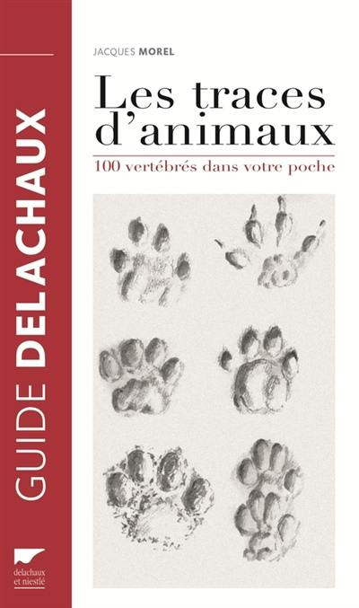 LES TRACES D ANIMAUX