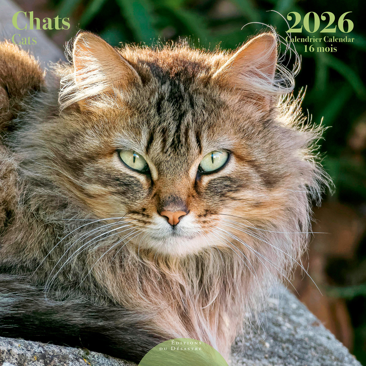 CALENDARIO CHATS 2026