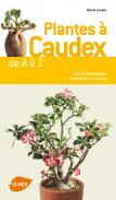 PLANTES A CAUDEX