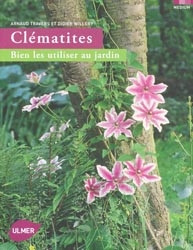 CLEMATITES