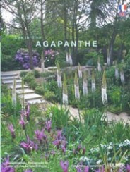 AGAPANTHE