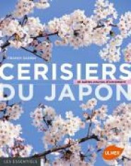 CERISIERS DU JAPON