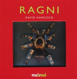 RAGNI