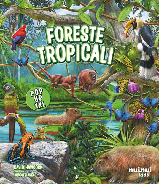 FORESTE TROPICALI