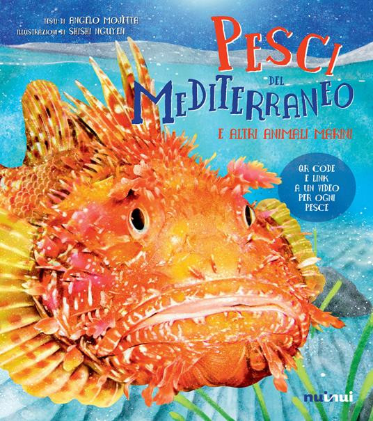 PESCI DEL MEDITERRANEO