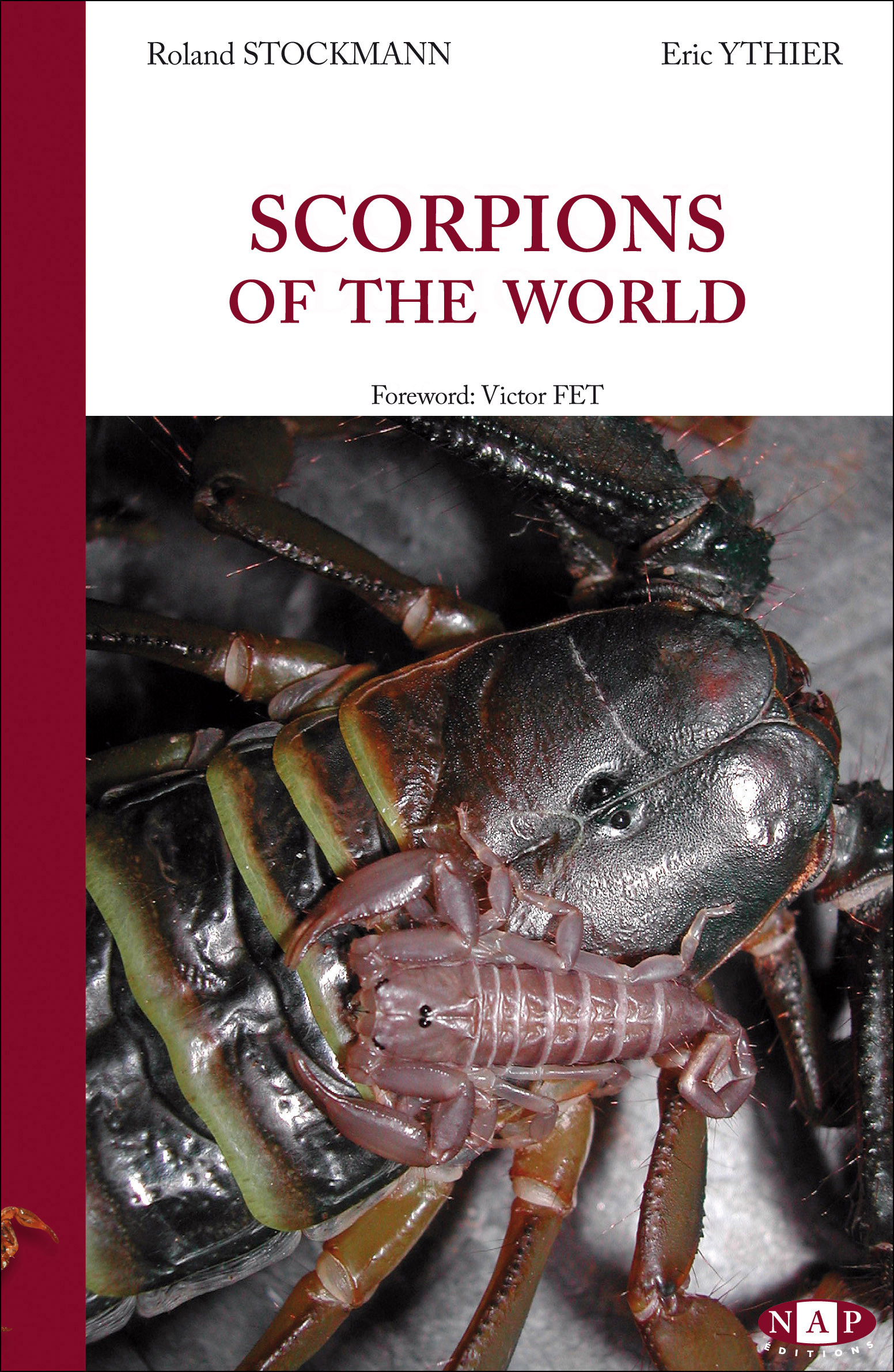 SCORPIONS OF THE WORLD