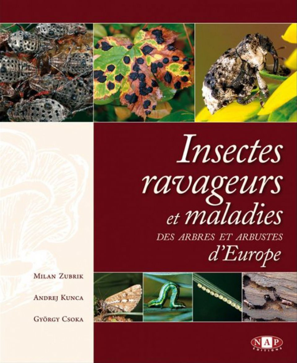 INSECTES RAVAGEURS ET MALADIES DES ARBRES ET ARBUSTES D'EUROPE