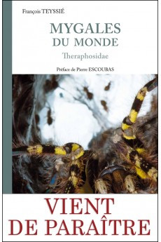 MYGALES DU MONDE