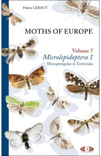 PAPILLONS DE NUIT D EUROPE