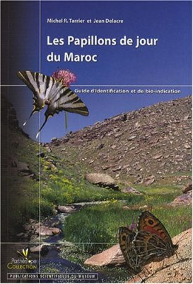 PAPILLONS DE JOUR DU MAROC