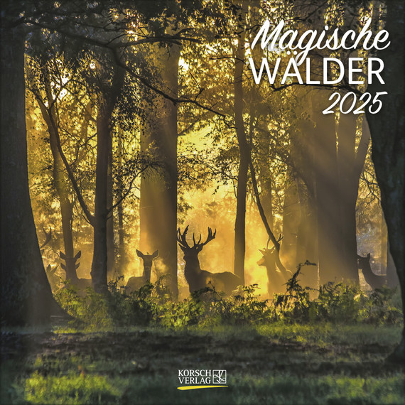 MAGISCHE WALDER 2025