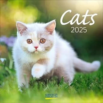 CATS 2025