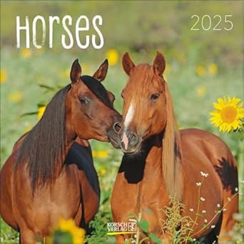 HORSES 2025