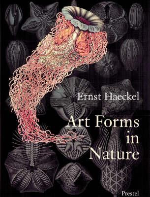ART IN FORMS IN NATURE